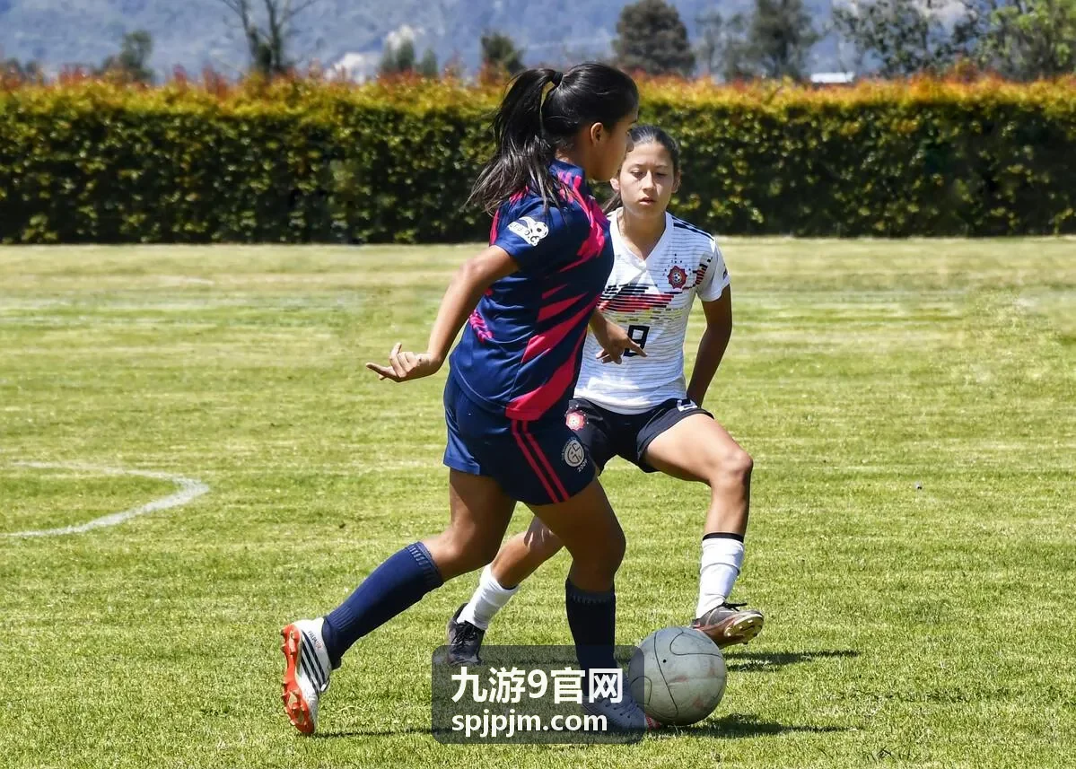 九游9官网账号与内容问题排查界面示例